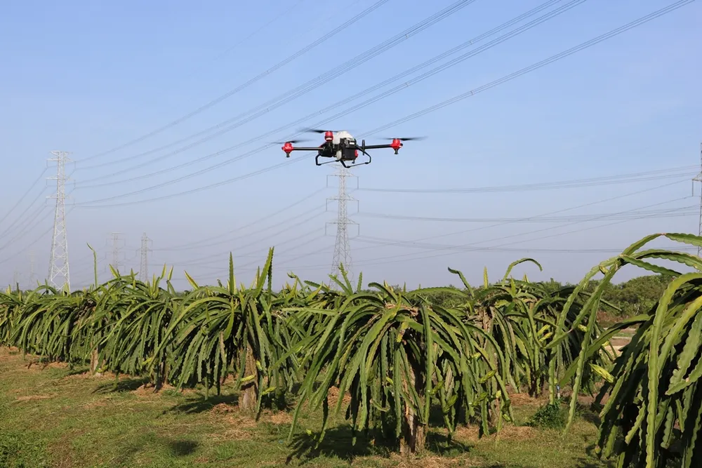 Đồng Tháp đẩy mạnh chuyển đổi số  ảnh 1