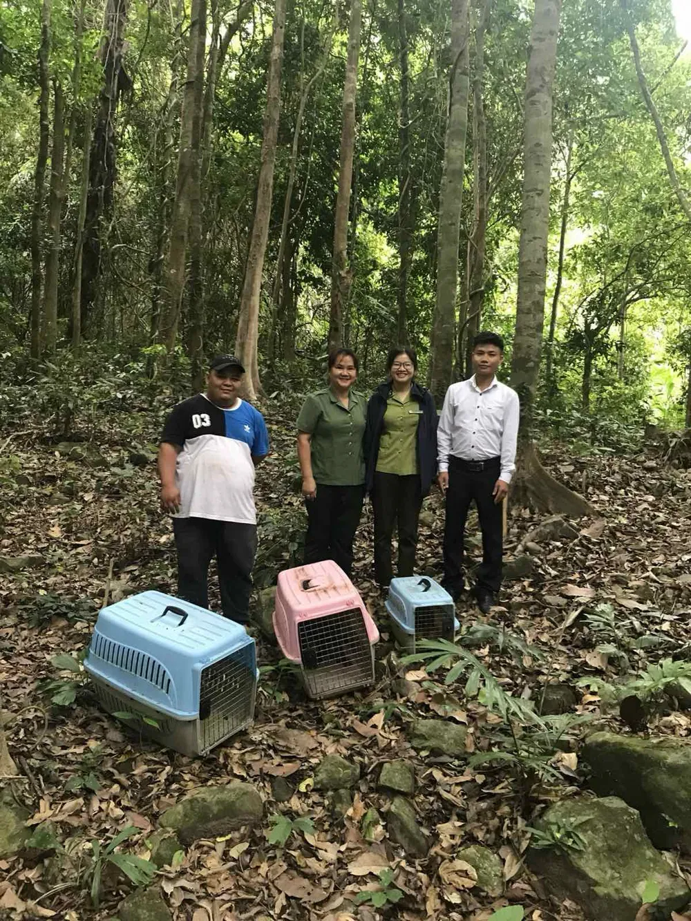 Trung tâm bảo tồn thuộc vườn quốc gia thả cá thể động vật về rừng