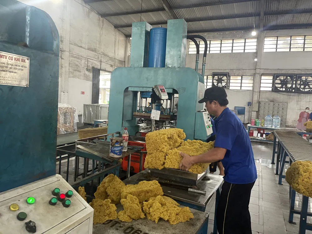 Công ty cổ phần cao su Phước Hoà sản xuất cao su đạt chất lượng tốt để xuất khẩu