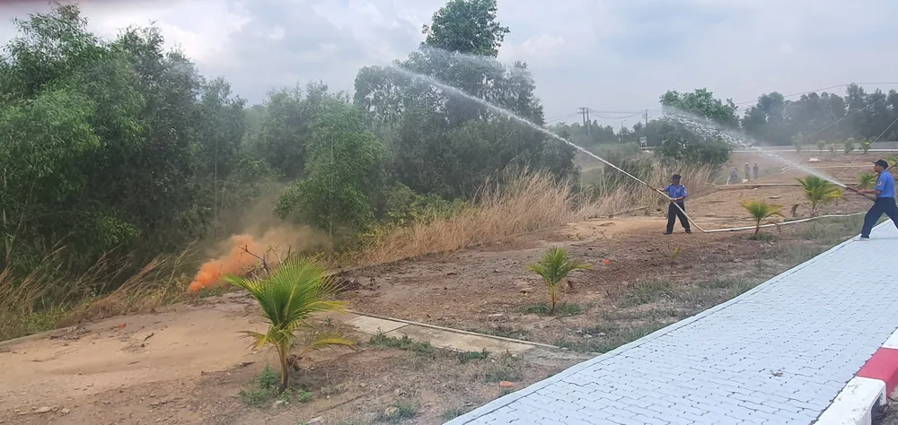 83f4bf4f98a439fa60b5 (1).jpg