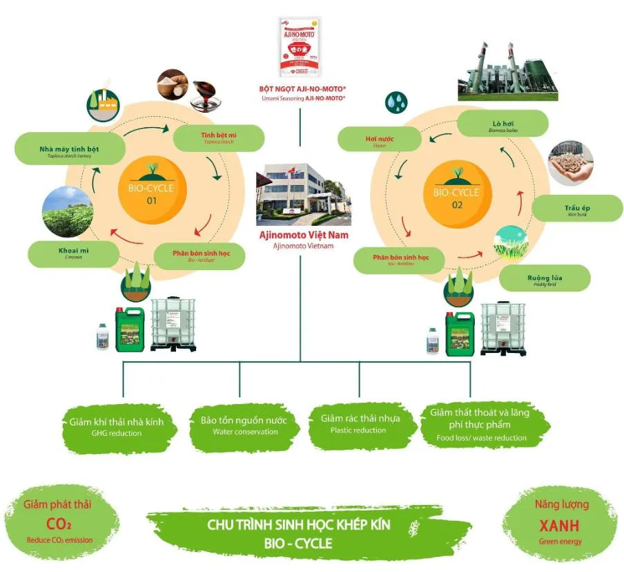 Hình Ajinomoto 2.jpg