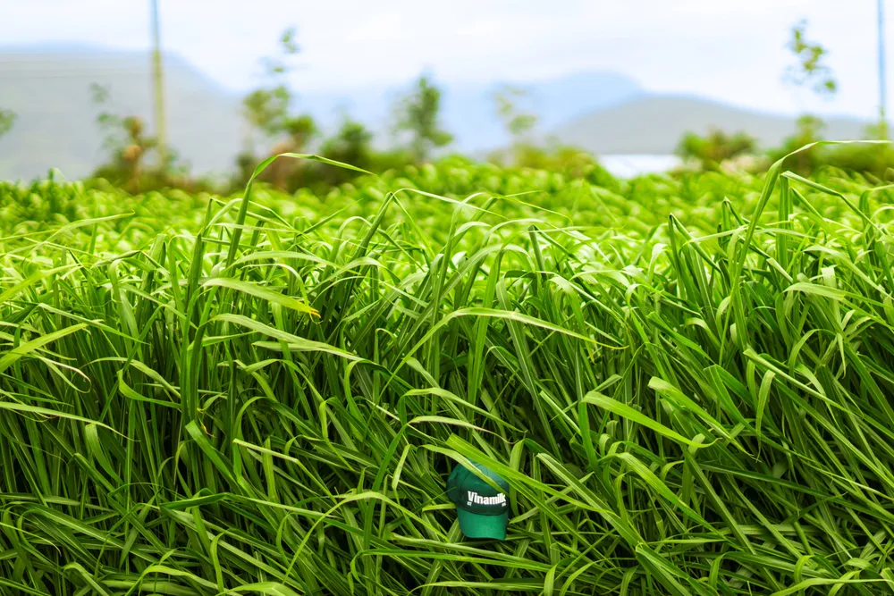 Farm tour VBCSD - 07a- ok.jpg