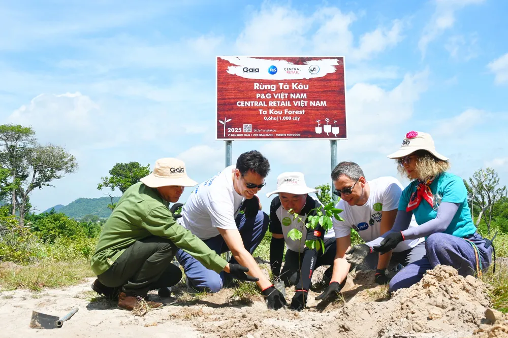 P&G và Central Retail Việt Nam tổ chức trồng rừng tại Tà Kóu