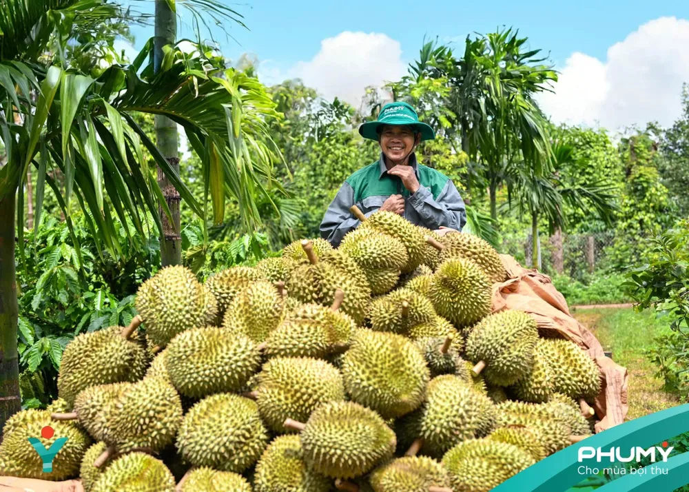 Tác phẩm tham gia Triển lãm ảnh nghệ thuật “Nữ hoàng của đại ngàn xanh”