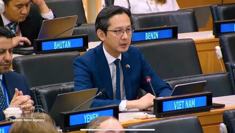 越南常驻联合国代表团团长杜雄越大使。图自越通社