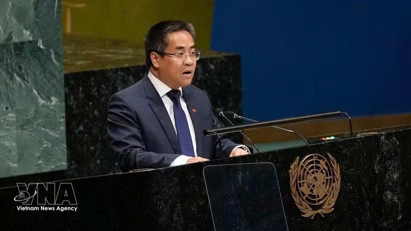 越南常驻联合国代表团副团长阮海刘公使。图自越通社