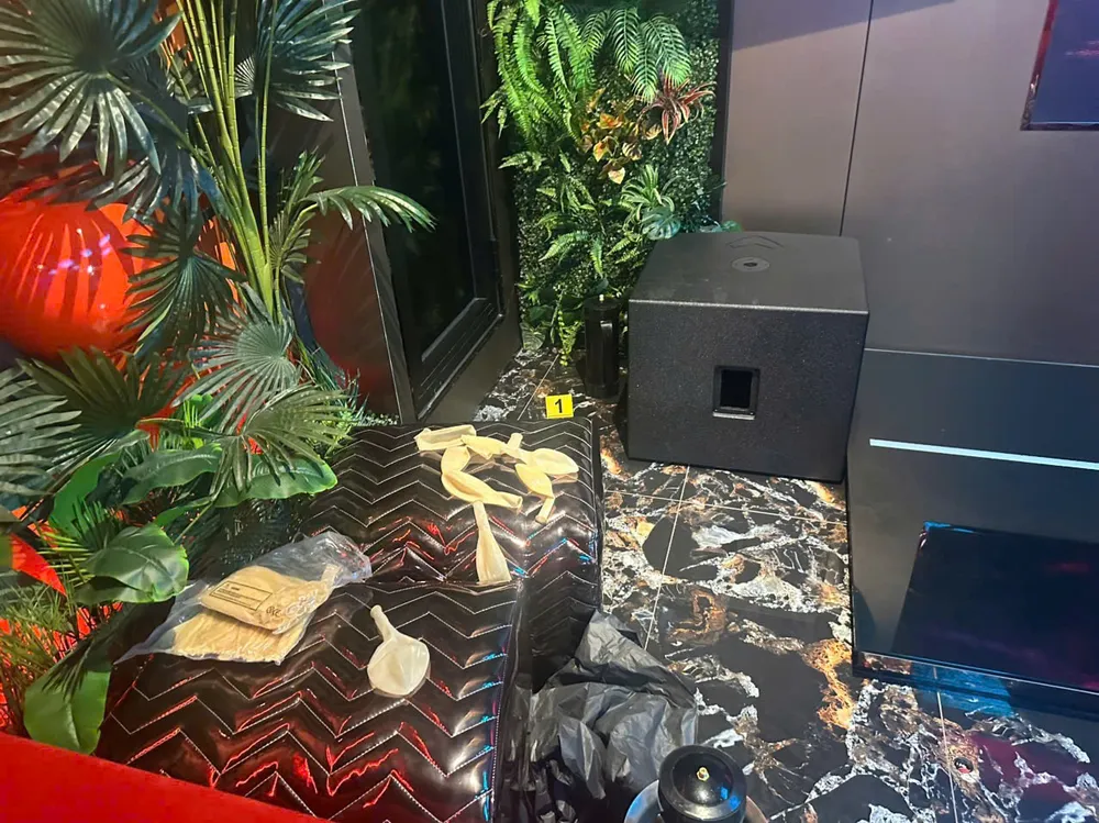 Ảnh 2 - Khí cười 90 house.jpg