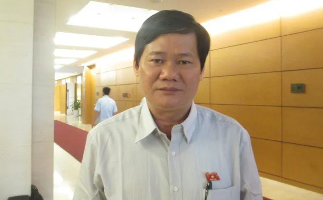 ĐBQH “chấm điểm” Bộ trưởng Bộ TN-MT ảnh 3