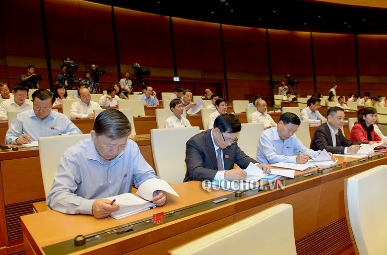 ĐBQH kỳ vọng lớn vào việc Tổng Bí thư giữ chức vụ Chủ tịch nước ảnh 3