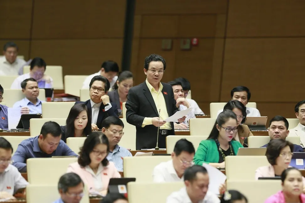 Sao không kêu gọi tư nhân làm sân bay Long Thành? ảnh 1