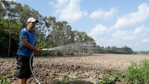 Nguồn nước dần cạn kiệt, người dân bán đảo Cà Mau sẽ gặp khó khăn trong sản xuất nếu hạn hán kéo dài. Ảnh: TẤN THÁI