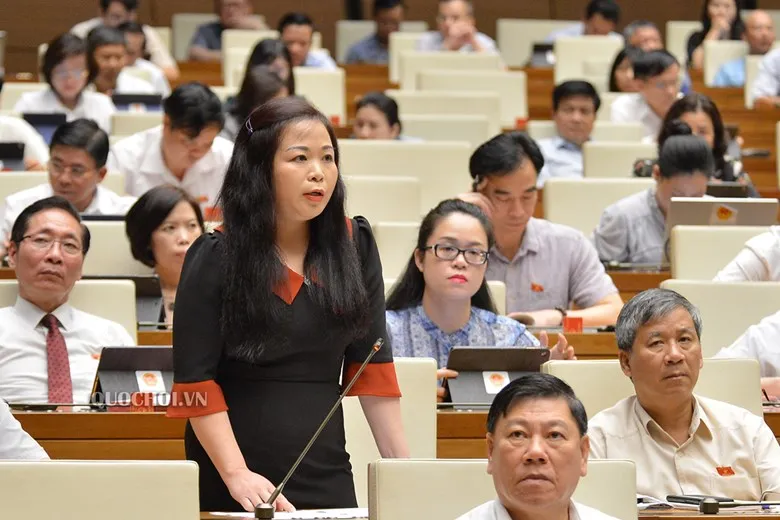 ĐBQH tranh luận sôi nổi về hình thức đầu tư các dự án đường bộ cao tốc ảnh 1