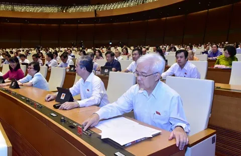 Quốc hội bỏ hộ kinh doanh khỏi Luật Doanh nghiệp  ​ ảnh 1