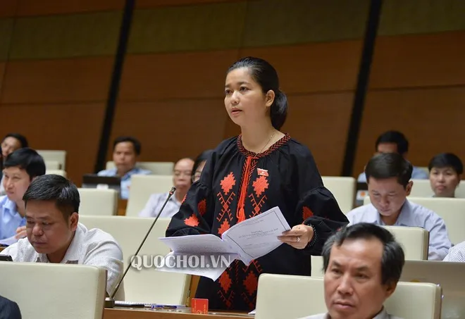 30 năm: tăng 1,3 triệu ha rừng tự nhiên, đúng hay sai? ảnh 1