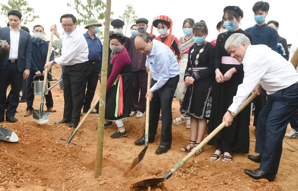 Ký kết chương trình trồng mới 10 triệu cây xanh  ​ ảnh 1