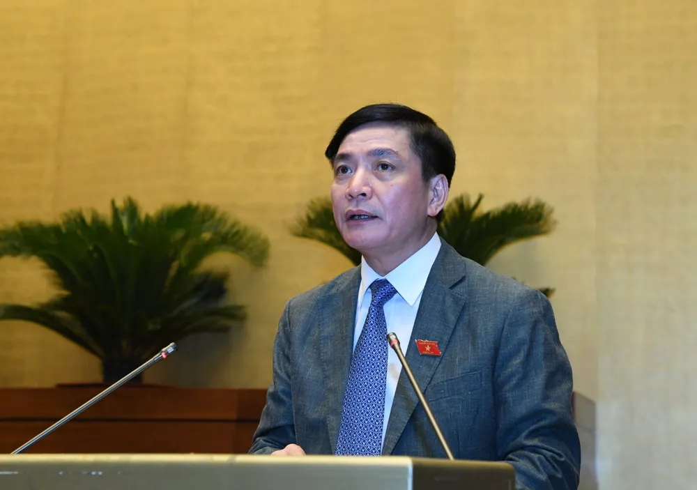 Đại biểu Quốc hội đề xuất Quốc hội giám sát về công tác cán bộ ảnh 2