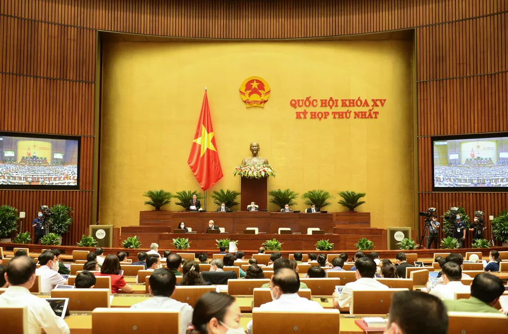 ĐBQH đề nghị đầu tư công chỉ là vốn mồi, phải đẩy mạnh PPP ảnh 1