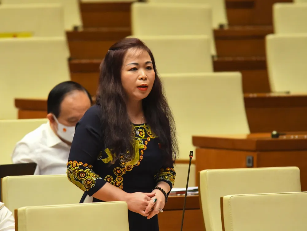 ĐBQH đề nghị đầu tư công chỉ là vốn mồi, phải đẩy mạnh PPP ảnh 2