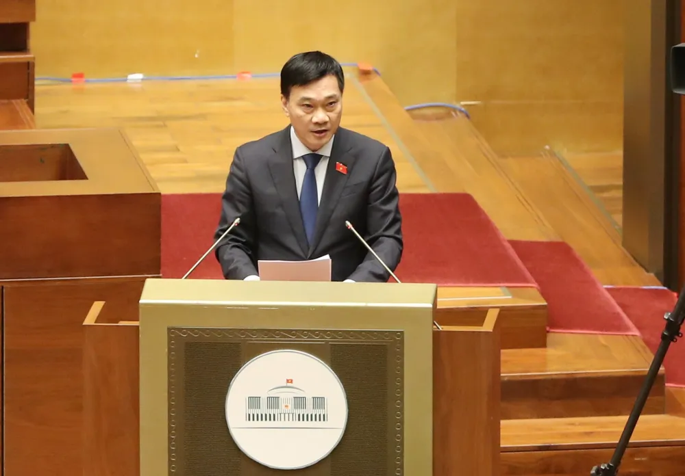 Chính phủ trình Quốc hội dự kiến kế hoạch cơ cấu lại nền kinh tế giai đoạn 2021-2025  ​ ảnh 1