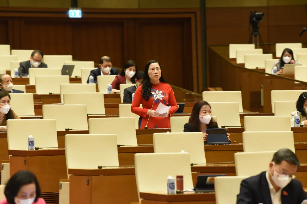 ĐBQH đề nghị giảm thuế giá trị gia tăng mạnh hơn cho ngành dịch vụ, mặt hàng thiết yếu ảnh 2