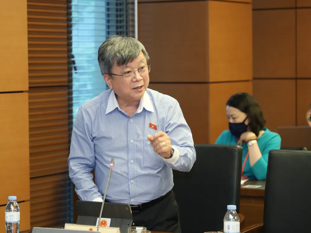 Phải khẳng định nhà đầu tư nước ngoài không được đồng sở hữu bến cảng, sân bay ảnh 2