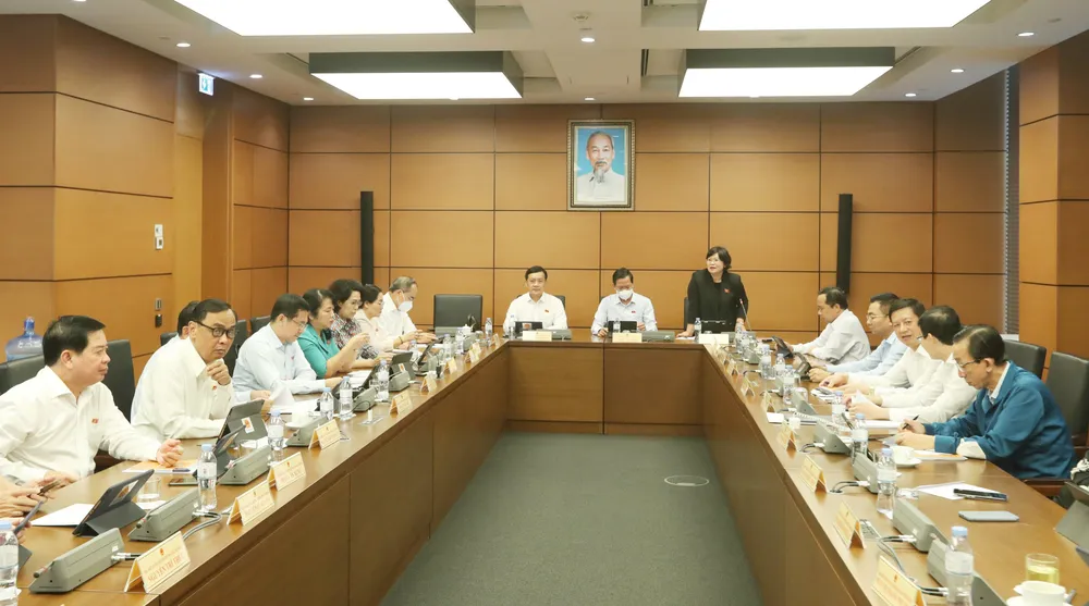 Đề nghị bổ sung chế tài xử phạt với những hành vi thông tin sai sự thật trên không gian mạng ảnh 2