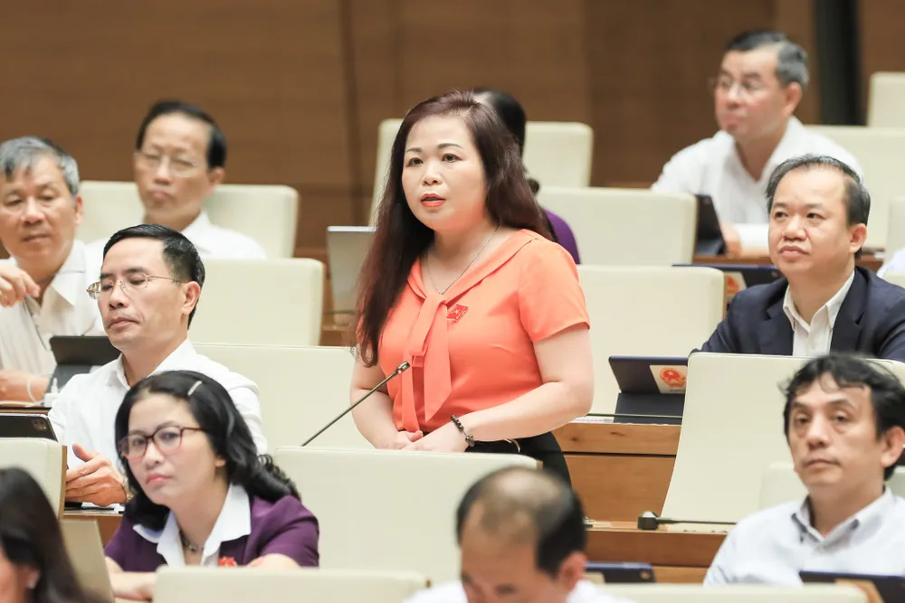 Chương trình phục hồi kinh tế - xã hội triển khai chậm: Đề nghị làm rõ nguyên nhân, trách nhiệm  ​ ảnh 3