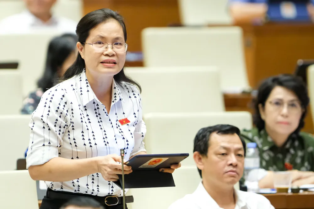 Phó Thủ tướng Thường trực Phạm Bình Minh: Nói “khai tử” môn Lịch sử là không đúng ảnh 2