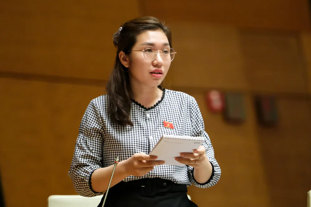 Phó Thủ tướng Thường trực Phạm Bình Minh: Nói “khai tử” môn Lịch sử là không đúng ảnh 1