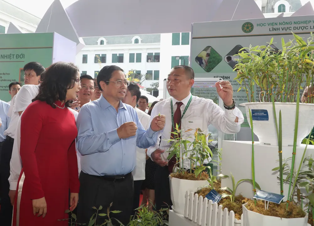 Cần có góc nhìn mới về khởi nghiệp ảnh 1