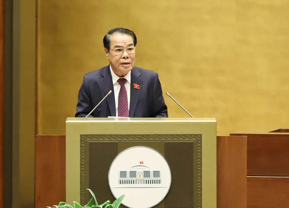 Trên 98% kiến nghị của cử tri đã được trả lời  ​ ảnh 1