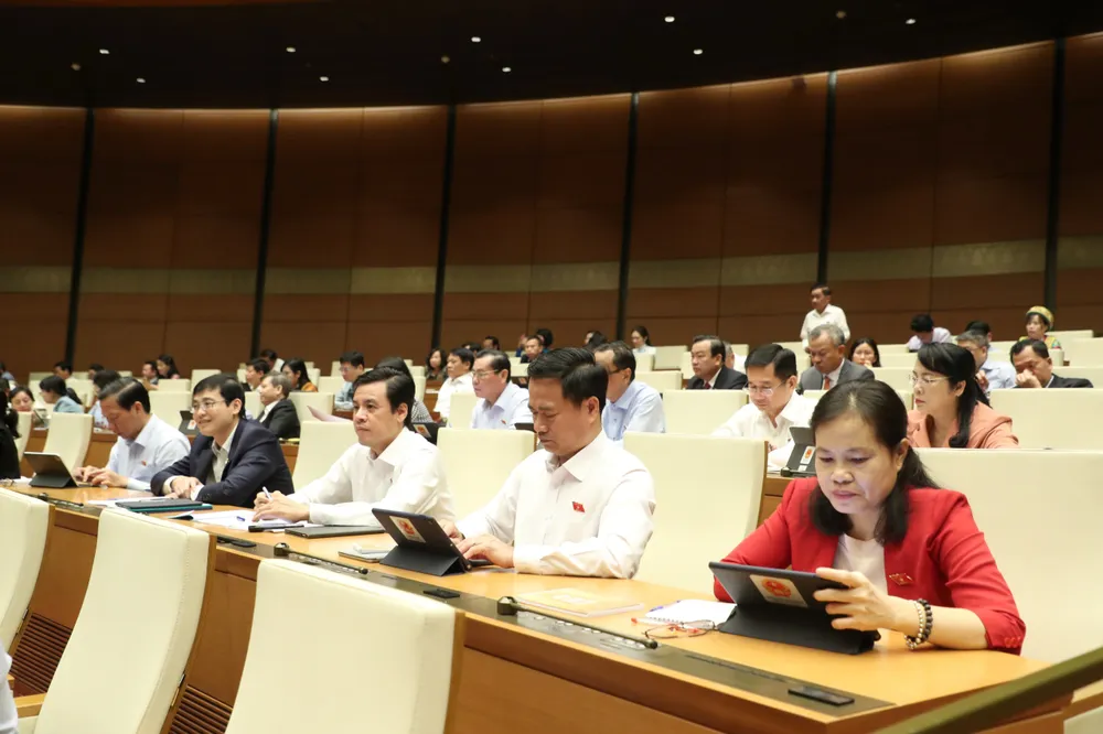 ĐBQH: Cần làm rõ xăng dầu “thiếu thật” hay “thiếu giả”  ​  ​ ảnh 2