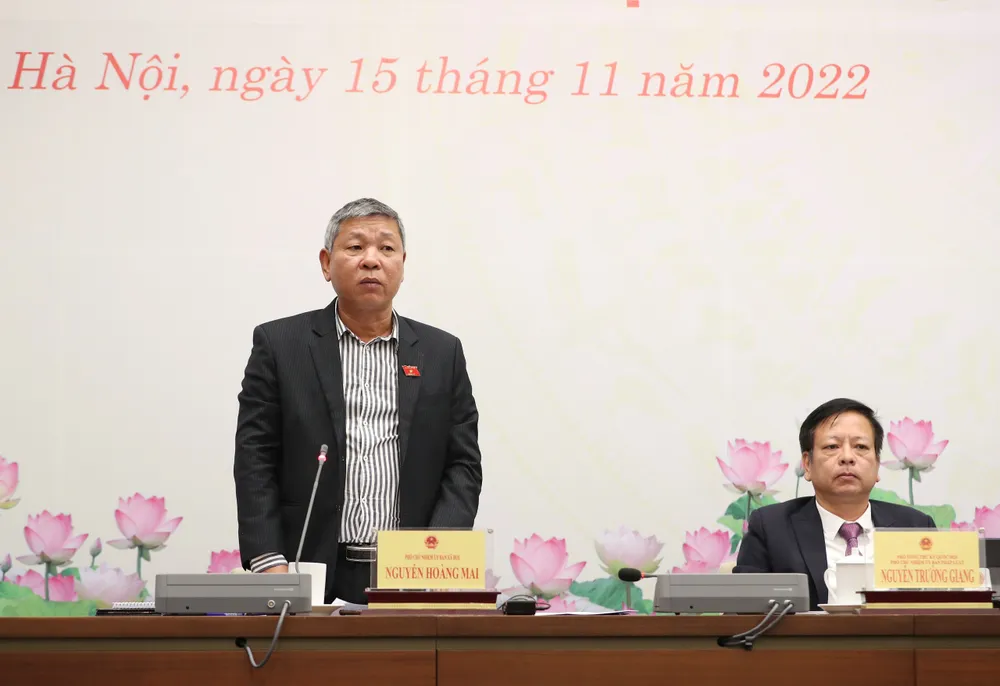 Quốc hội sẽ tiếp tục giám sát Chính phủ trong công tác điều hành xăng dầu ảnh 1