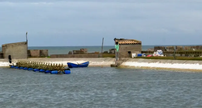 Giảm 30% tiền thuê đất, thuê mặt nước với các đối tượng bị ảnh hưởng bởi dịch Coivd-19