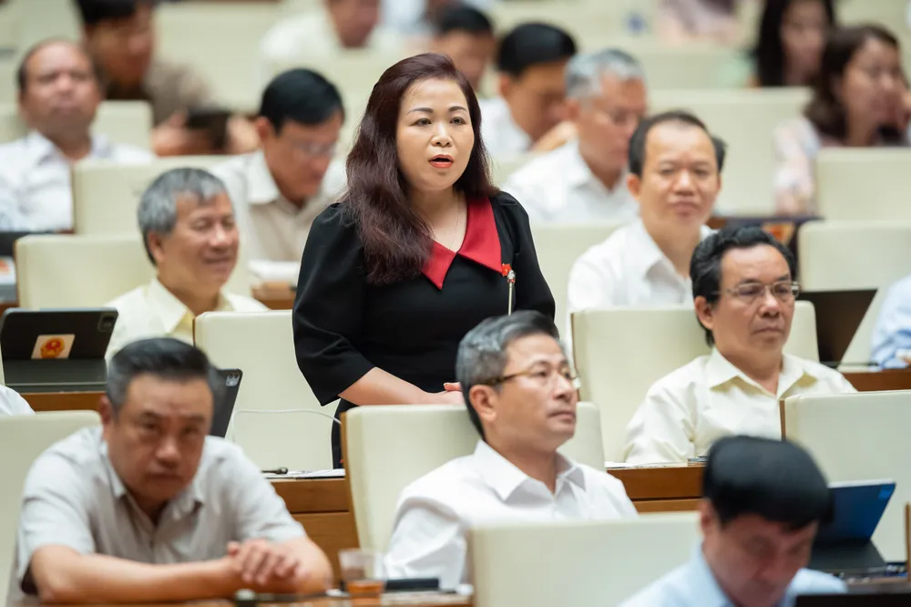 Đại biểu Vũ Thị Lưu Mai (Hà Nội). Ảnh: VIẾT CHUNG Đại biểu Vũ Thị Lưu Mai (Hà Nội). Ảnh: VIẾT CHUNG