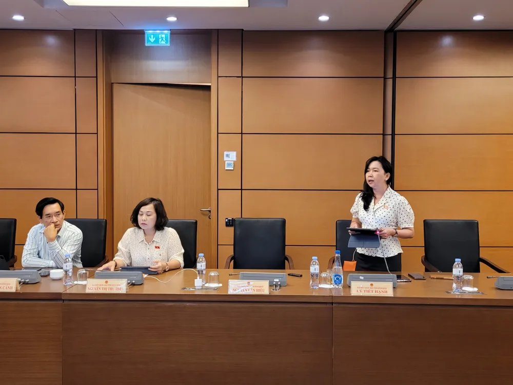 ĐB Lý Tiết Hạnh (Bình Định) phát biểu. Ảnh: PHAN THẢO