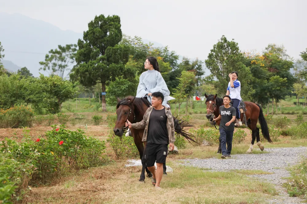 Sinh viên ĐHQGHN lần đầu tiên trải nghiệm cưỡi ngựa trong khuôn viên trường