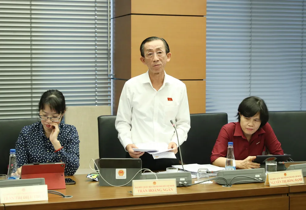 ĐB Trần Hoàng Ngân (TPHCM). Ảnh: QUANG PHÚC