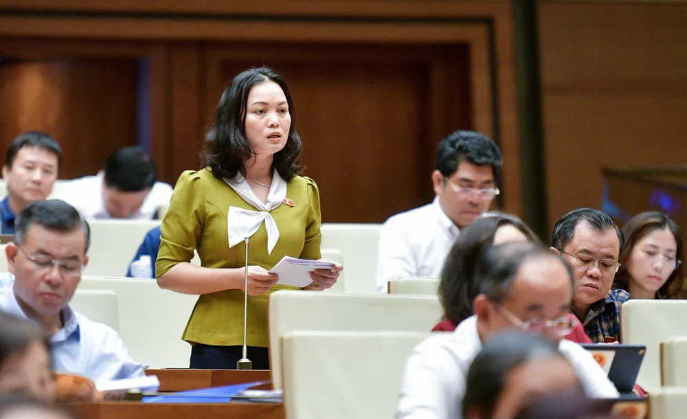 ại biểu Huỳnh Thị Phúc - Đoàn ĐBQH tỉnh Bà Rịa - Vũng Tàu.jpg