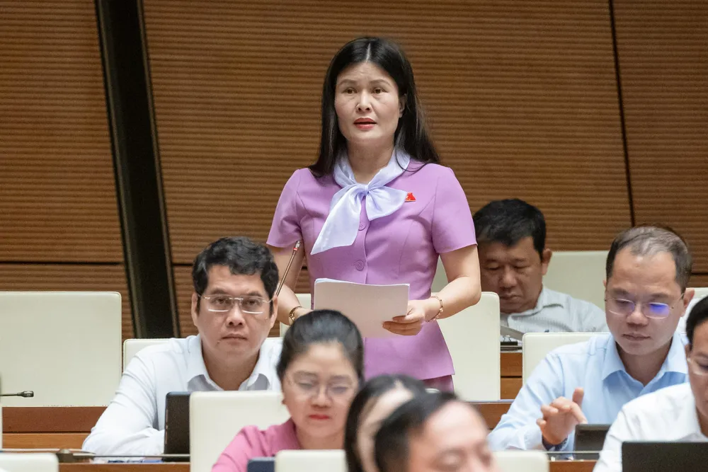 Đại biểu Bùi Thị Quỳnh Thơ - Đoàn ĐBQH tỉnh Hà Tĩnh.jpg