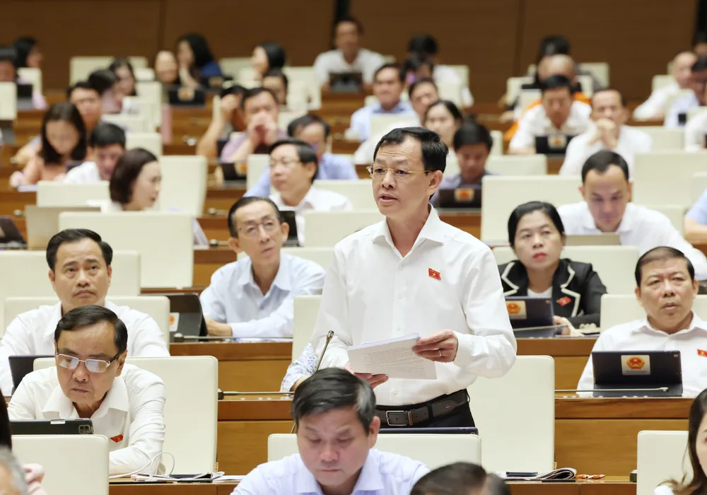 Đại biểu Nguyễn Tri Thức-TPHCM.jpg