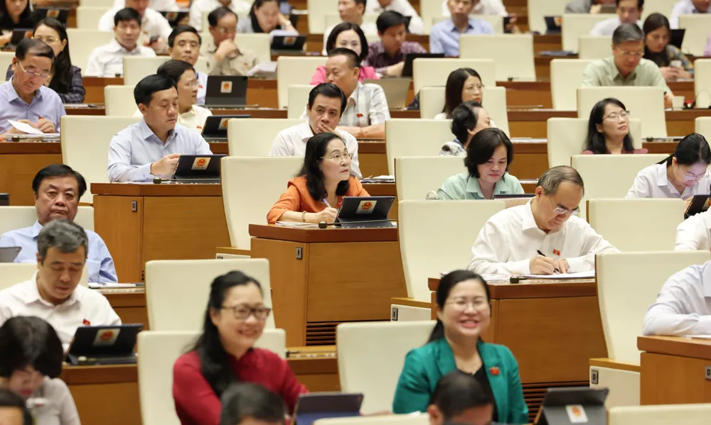 Các đại biểu dự thảo luận sáng 29-5.jpg