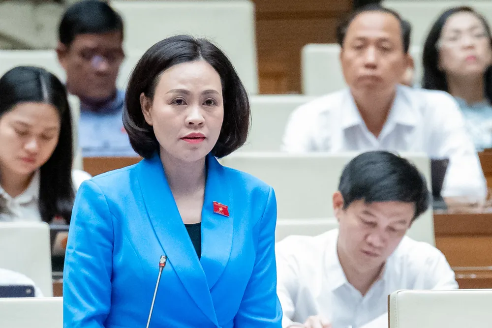 Đại biểu Trần Thị Hồng Thanh - ĐNinh Bình.jpg