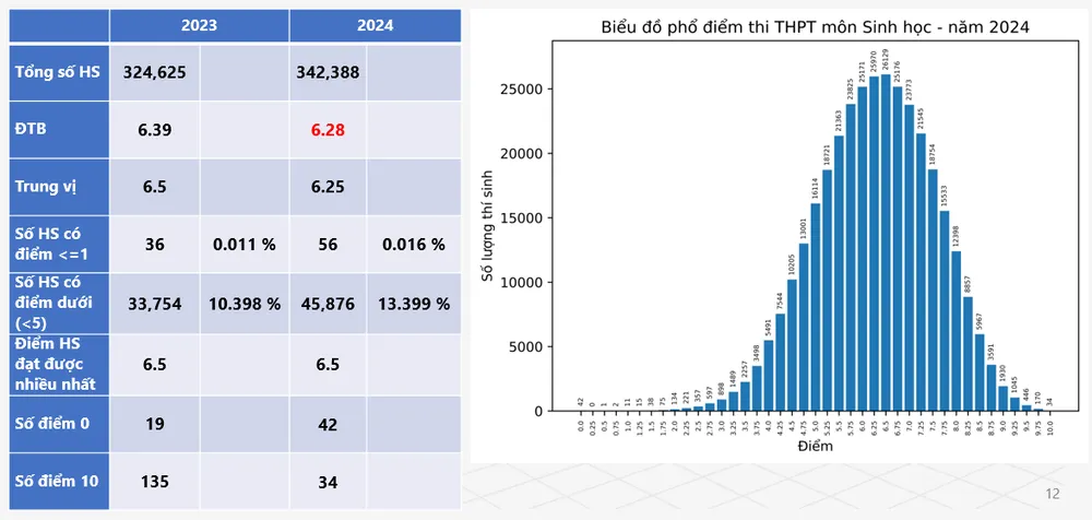 Screenshot 2024-07-17 084944.png