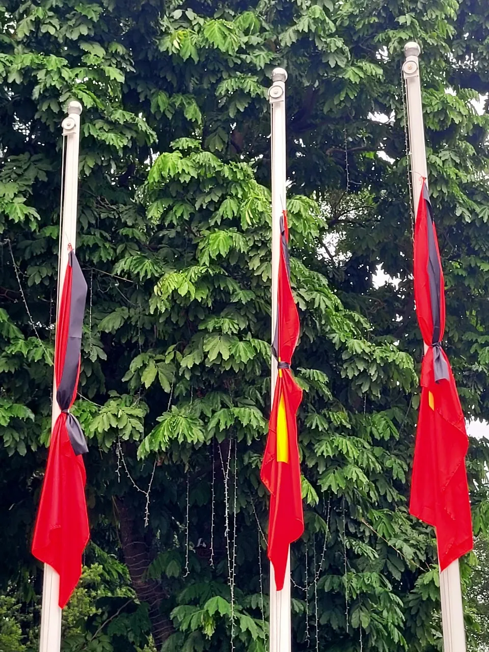 vườn hoa Lý thái tổ 2.jpg