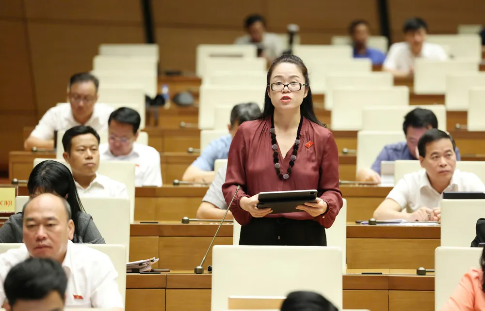 Đại biểu Dương Minh Ánh (Hà Nội).jpg