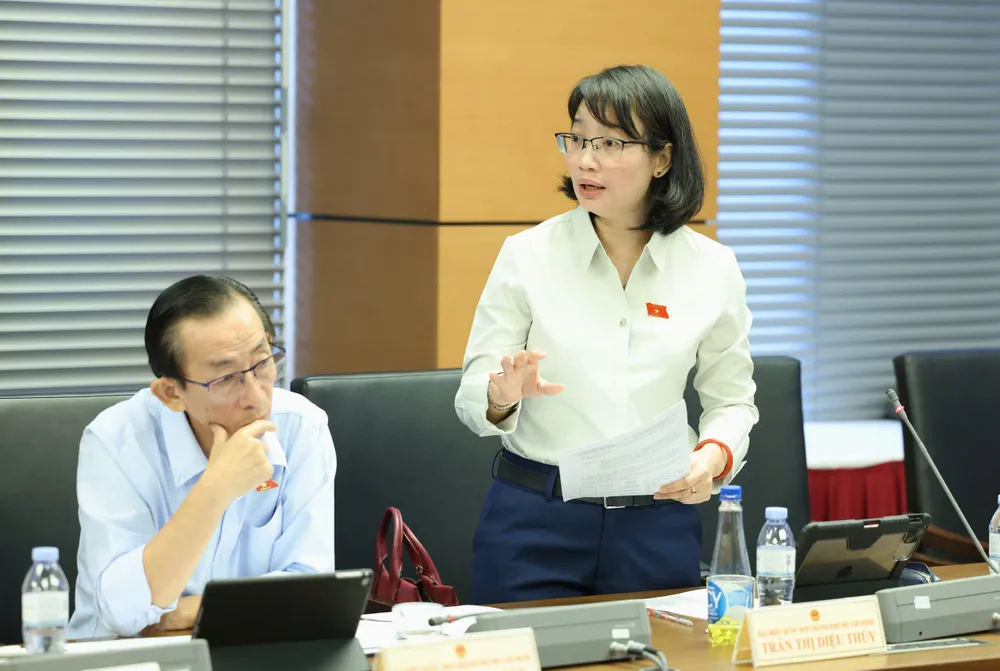 Đại biểu Trần Thị Diệu Thúy (TPHCM).jpg