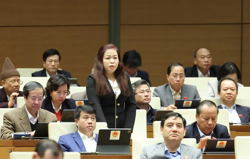 Đại biểu Vũ Thị Lưu Mai (Hà Nội).jpg