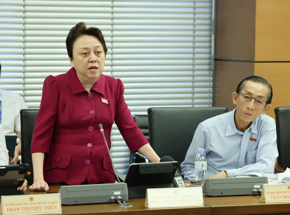 Đại biểu Phạm Khánh Phong Lan (TPHCM) phát biểu tại phiên thảo luận tổ, chiều 20-5. Ảnh QUANG PHÚC.jpg