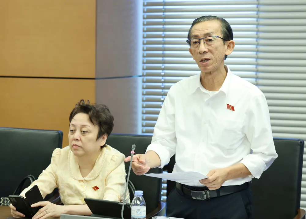 ĐB Trần Hoàng Ngân (TPHCM). Ảnh: QUANG PHÚC